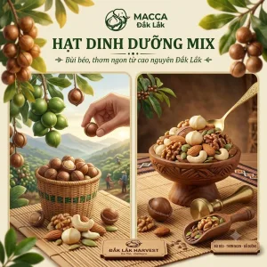 Hạt dinh dưỡng mix – Sự kết hợp hoàn hảo cho bữa ăn nhẹ giàu dinh dưỡng